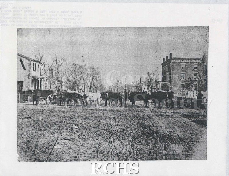 Historic image of Black and white copy print of a team of oxen. Shows a man standing by them and there are buildings on either side.