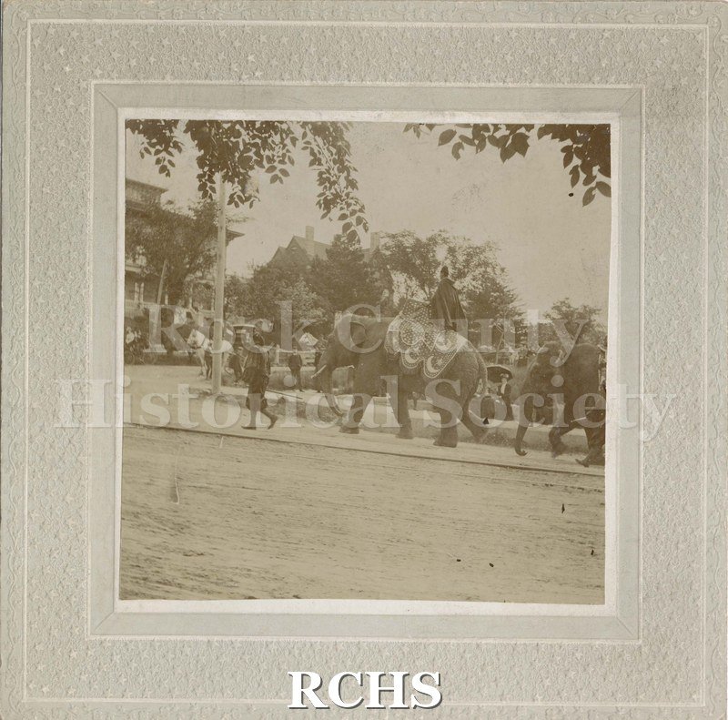 Black and white photograph of a parade with two elephants passing. A man in a cloak rides the first elephant.