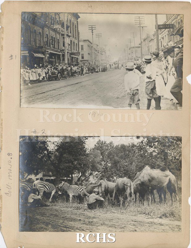 Black and white photograph of parade and circus animals circa 1910. Photo #1 depicts crowds waiting along side Janesville's Main Street for a parade to approach.