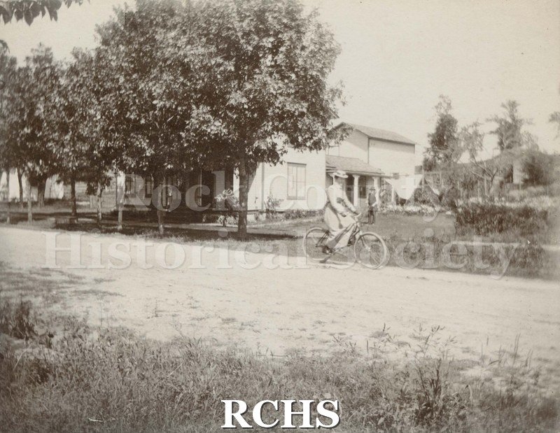 Black and white photograph of a woman in hat bicycling along a tree-lined road.
