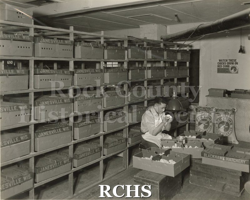 Black and white photograph of Blackhawk Hatchery interior. Foreground right of crates with cardboard boxes with baby chicks inside.