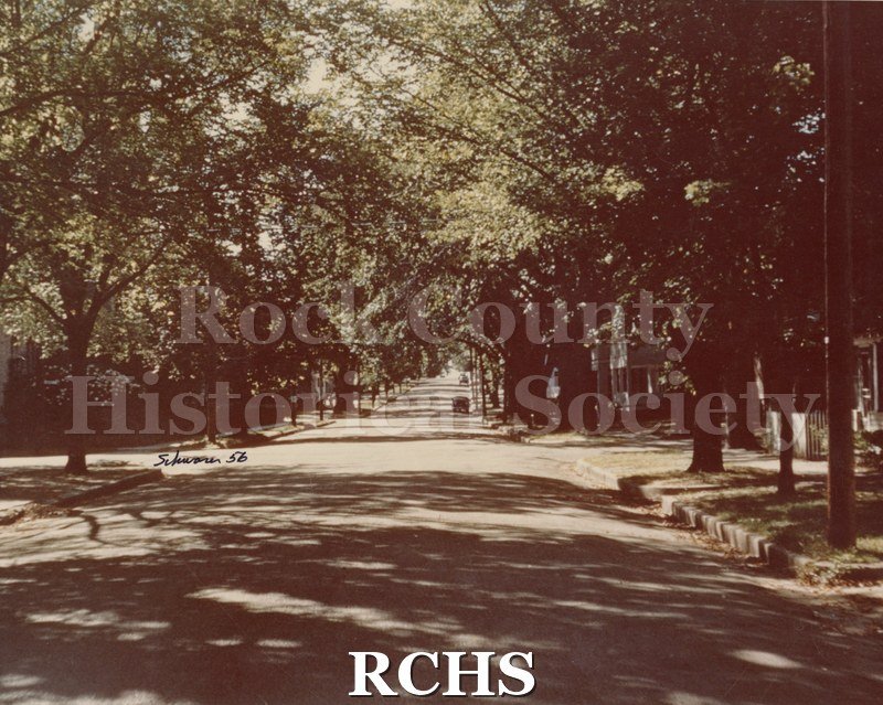 Color photo of Holmes Street, Janesville, WI, lined with mature trees and two cars are parked on the side of the street.