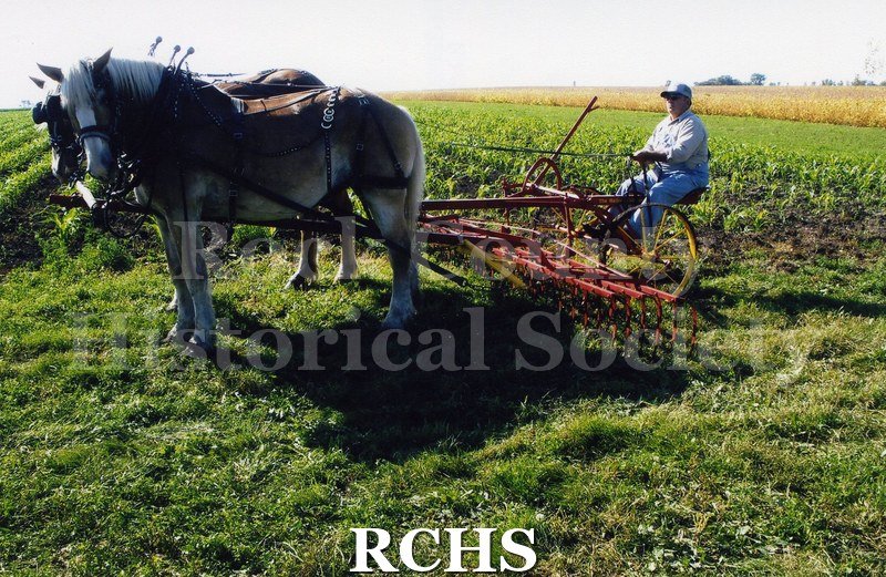 Color photo of an undientified man on a cultivator pulled by a bay horse. They are cultivating corn.
