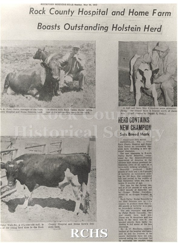 Historic image of Black and white copy print of three photographs and a newspaper article entitled "Rock County Hospital and Home Farm Boasts Outstanding Holstein.