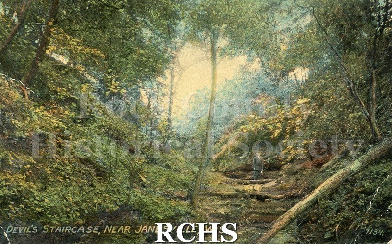 Postcard of Devil's Staircase near Janesville. Man in suit standing on stone stairs among trees. Fallen tree on bottom right.