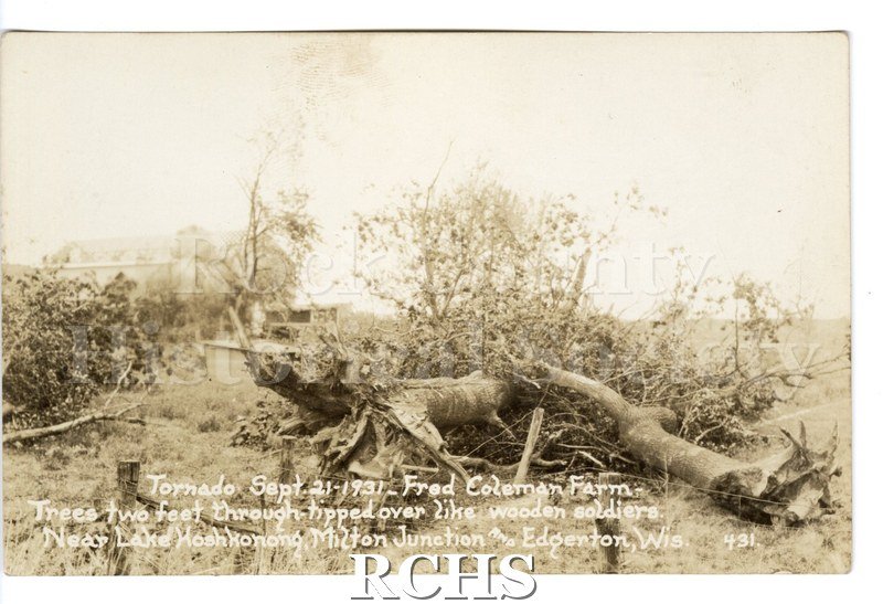3-1/2" x 5-1/2" glossy picture postcard showing debris of trees on a farm after tornado. On bottom: "Tornado Sept.