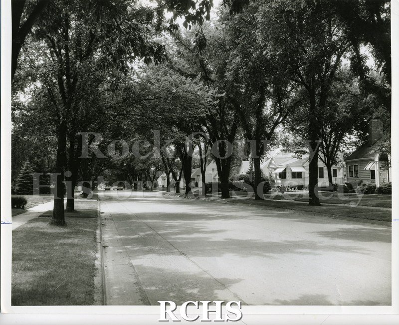 Black and white photograph of a row of one story houses with large trees in front of them.