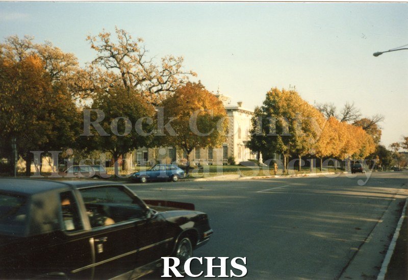 Photograph, Avenue of Trees in front of the Tallman House.